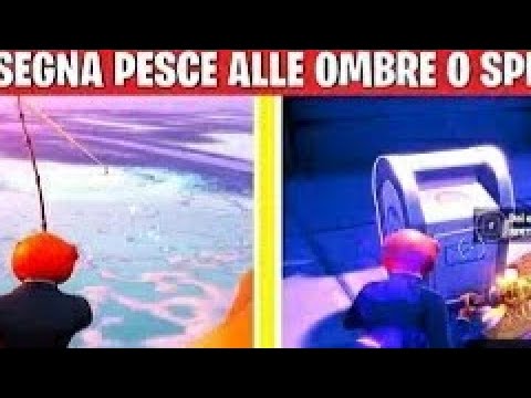 Consegna 10 pesci alle ombre/spettri. Sfida finale miaoscolo.