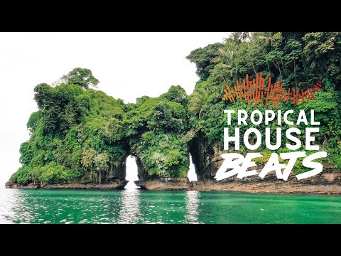 I Feel it Too - Maiwan (Tropical House Beats)