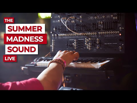 The Summer Madness Synthesizer︱Live Performance