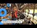 Op deze boerderij kun je survivallen boven de koeien