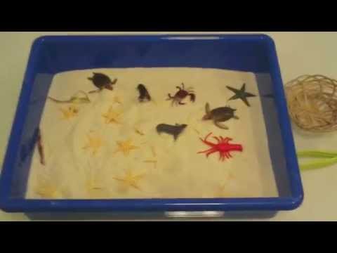 Sand Sensory Bin: Sea Animals:Preschool Activity