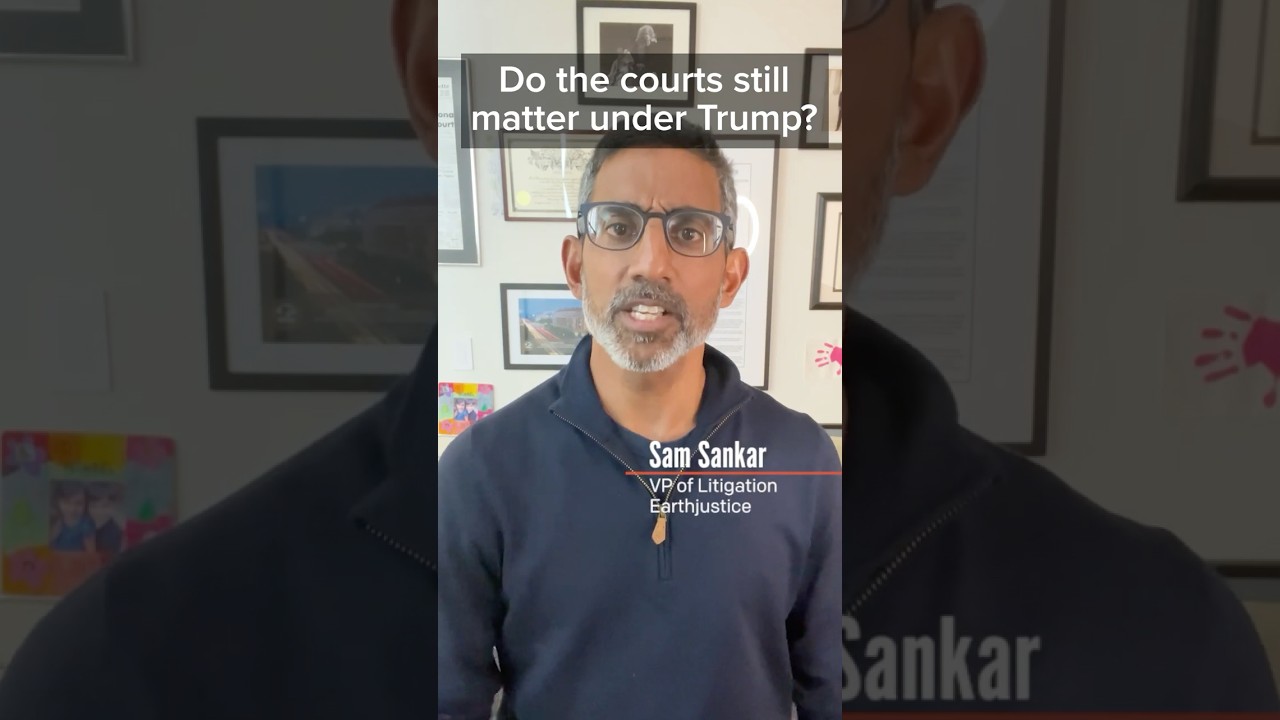 Hope in the Courts