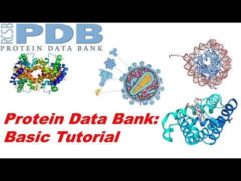 How To Use RCSB Protein Data Bank (PDB);  Basic Tutorial (Bioinformatics Lecture Episode-II )
