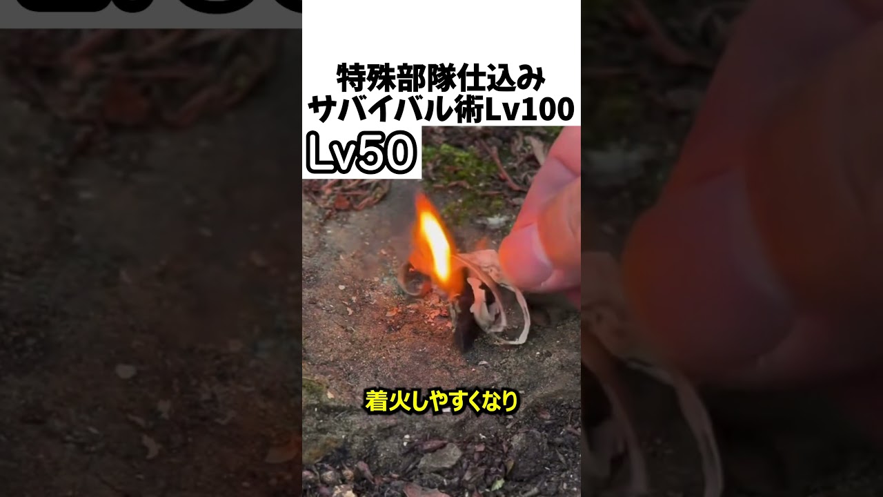サバイバル術レベル１００#shorts