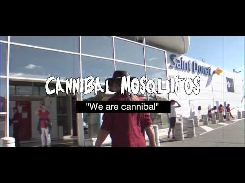 CANNIBAL MOSQUITOS - We Are Cannibal