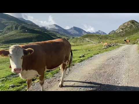 Alpencross 2020 Albrecht Route