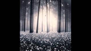 Ten Shekel Shirt - Spark