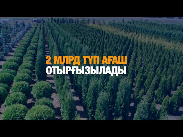 2 млрд түп ағаш отырғызылады