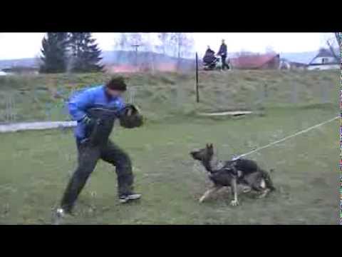 Xanto z Gargamellu protection 8 months