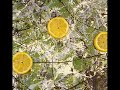 the stone roses mission impossible stockholm 1985