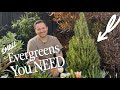 Small Tree That Will Fit In Any Garden Visit Our Garden