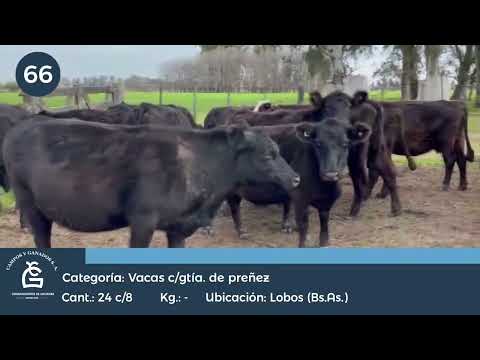 Lote VC CGP - Lobos Bs As