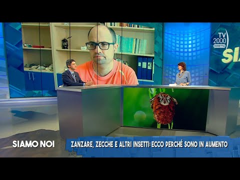 Siamo Noi (TV2000), 5 luglio 2023 - Allarme zecche e zanzare: rischi per la salute