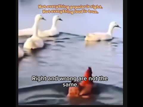 Don’t follow blindly what others do. Think, 