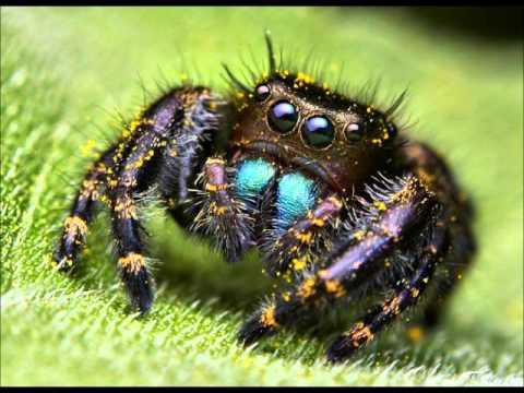 John Carton Hard Leaders 4 Break Beat Old School Mix