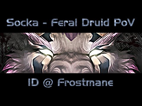 WoW Socka Feral UI WoD 6.2