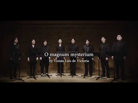 Sonority: O magnum mysterium - Tomás Luis de Victoria