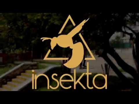 Alex Brindyz  - Bienvenida a Insekta Shoes