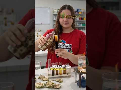 Em Presidente Dutra, na Bahia, a estudante Beatriz de 18 anos, transformou a casca da em detergente.