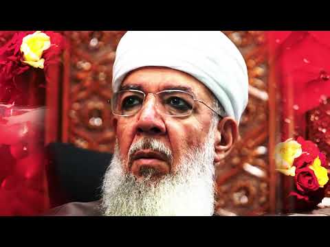 Gel Babam Saki'ye (Feyzullah Koç 2024)