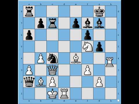 Veličanstveni , neverovatni potezi u šahu 🎯🎯🎯🎯🎯 AKOPIAN vs KRAMNIK # 1929