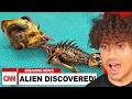 WORLD'S *CRAZIEST* DISCOVERIES!