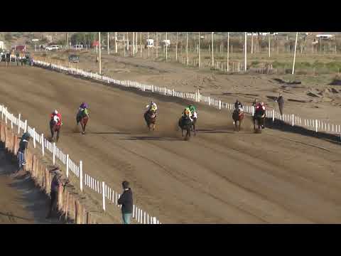 Club Hipico Añelo 31-07-2022 INDIGO