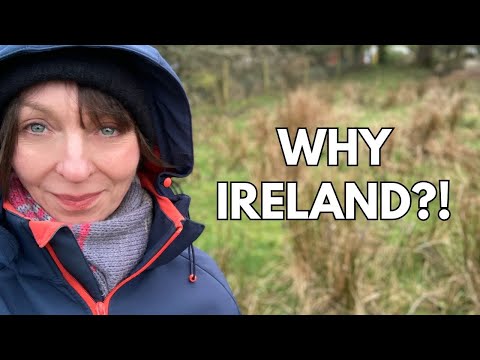 Why We Moved to Ireland