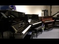 A surprise visitor Stuart Jones Pianos