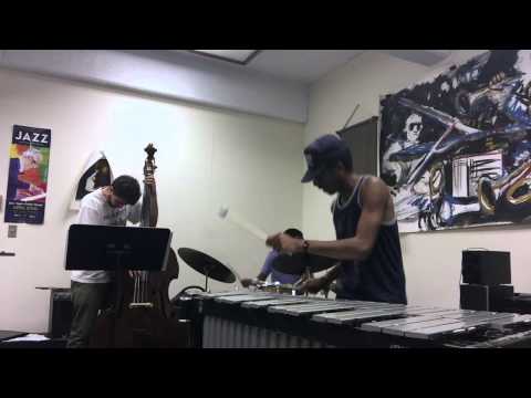 Joel M. Ross - Autumn Leaves