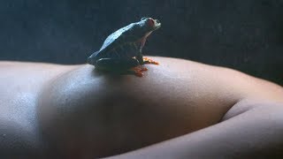 The Bright Light Social Hour - Missing Something [Official Video]