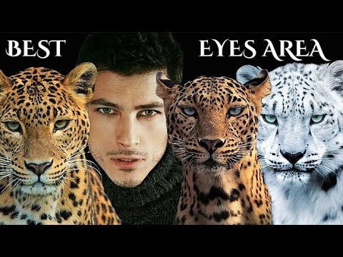 Atesh Salih: 𝑻𝒉𝒆 𝒎𝒂𝒏 𝒘𝒊𝒕𝒉 𝒕𝒉𝒆 𝒑𝒆𝒓𝒇𝒆𝒄𝒕𝒍𝒚 𝒇𝒆𝒍𝒊𝒏𝒆 𝒆𝒚𝒆𝒔