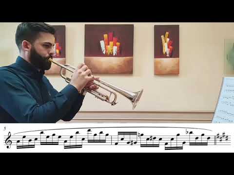 Ost Lip Flexibility 19 (Vol. 1) - David Perez