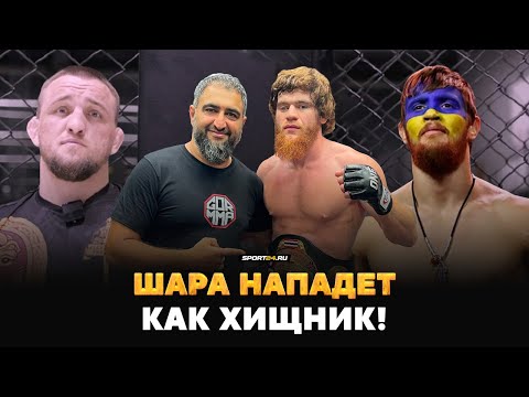 Шара Буллет VS Потеря: UFC ПРОСИТ ИЗБЕГАТЬ ПОЛИТИКУ? / Ответ Белазу и сборы в Дагестане перед боем