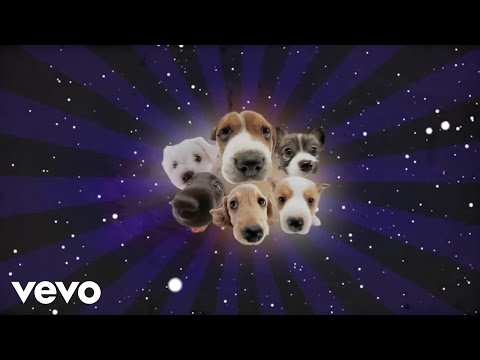 Hamamido - The Rock Dog Song (Official Lyric Video)