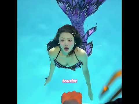 Men have been searching for this mermaid   #funny #adoreble #cute #shorts
