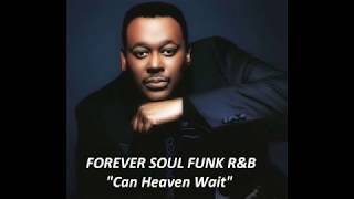 Can Heaven Wait  / LUTHER VANDROSS