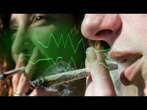 The Guy She Tells You Not To Worry About - I rauk an Joint [HARDTEKK]