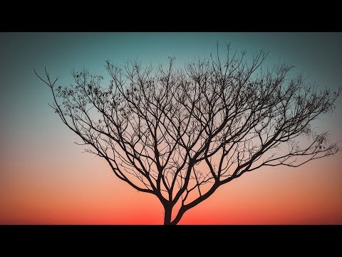 download lagu mp3 mp4 Nikon D7500 Sample Images, download lagu Nikon D7500 Sample Images gratis, unduh video klip Nikon D7500 Sample Images