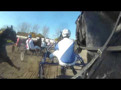 Dreamer Mind ACTION CAM 01 11 2015 Tongeren