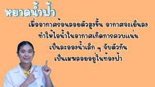 ep.31 วิทยาศาสตร์ ป.5 เรื่อง หยาดน้ำฟ้า by ครูเมย์ ชนากานต์