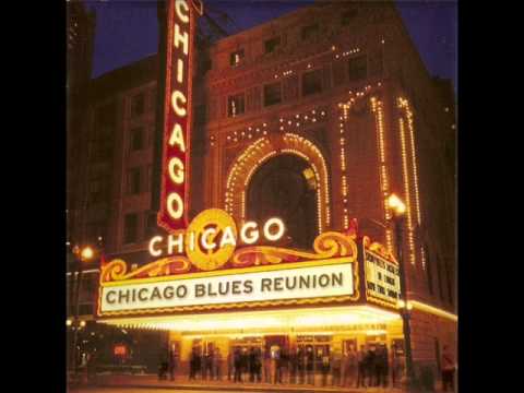 chicago blues reunion   born in chicago