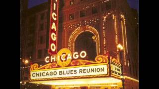 chicago blues reunion   born in chicago
