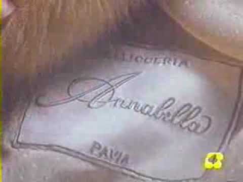 Annabella Pelliccerie Annabella Pavia 1989