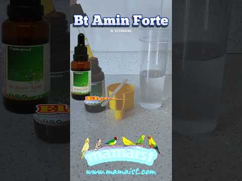 Röhnfried Bt Amin Forte Mamaist.com