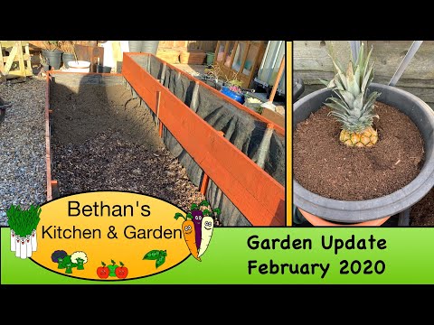 , title : 'Garden update Feb 2020'