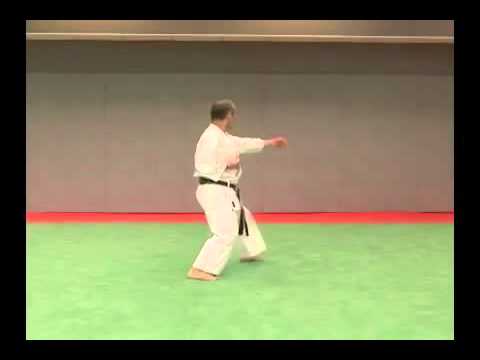 Wado Kata Pinan Nidan - Hiroji Fukazawa Sensei