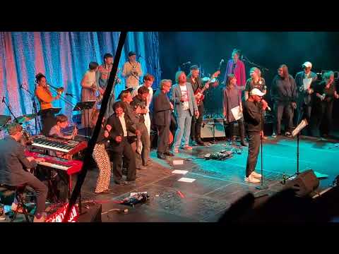 Crucchi Gang - Azzuro (live Columbiahalle 2024)