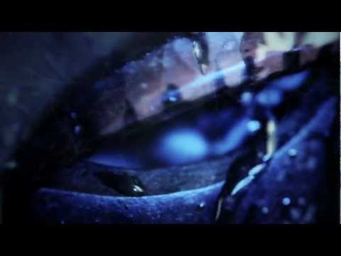 Dreamon - Rise (Official Video)