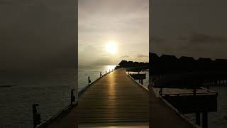 WHEN THE NIGHT WAS YOUNG - ROBBIE ROBERTSON 🕊️ Rock Song Music Short